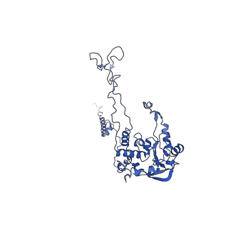 30433_7cpv_LC_v1-2
Cryo-EM structure of 80S ribosome from mouse testis