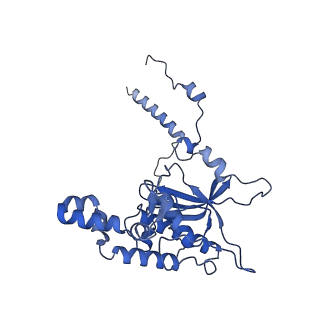 30433_7cpv_LD_v1-2
Cryo-EM structure of 80S ribosome from mouse testis