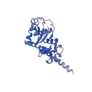30433_7cpv_LF_v1-2
Cryo-EM structure of 80S ribosome from mouse testis