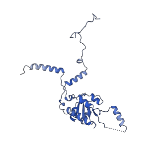 30433_7cpv_LG_v1-2
Cryo-EM structure of 80S ribosome from mouse testis