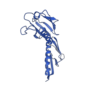 30433_7cpv_LH_v1-2
Cryo-EM structure of 80S ribosome from mouse testis