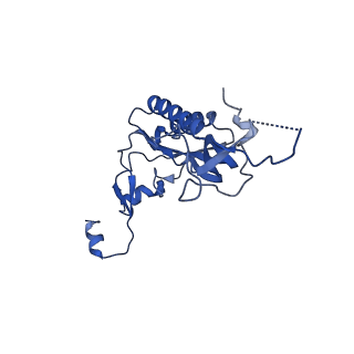 30433_7cpv_LI_v1-2
Cryo-EM structure of 80S ribosome from mouse testis