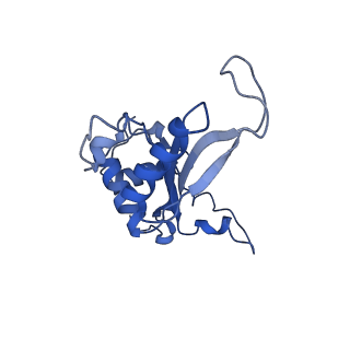 30433_7cpv_LJ_v1-2
Cryo-EM structure of 80S ribosome from mouse testis