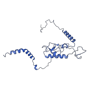 30433_7cpv_LL_v1-2
Cryo-EM structure of 80S ribosome from mouse testis