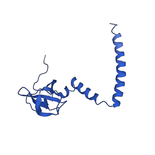30433_7cpv_LM_v1-2
Cryo-EM structure of 80S ribosome from mouse testis