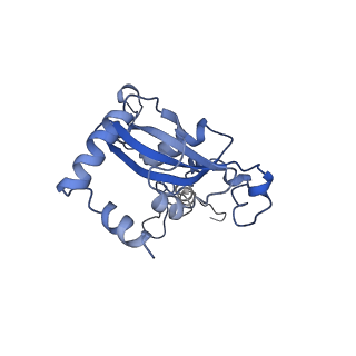 30433_7cpv_LN_v1-2
Cryo-EM structure of 80S ribosome from mouse testis