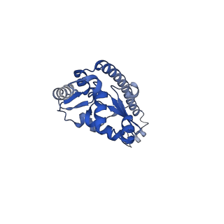 30433_7cpv_LO_v1-2
Cryo-EM structure of 80S ribosome from mouse testis