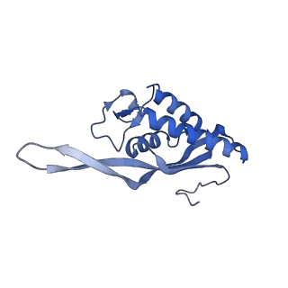 30433_7cpv_LP_v1-2
Cryo-EM structure of 80S ribosome from mouse testis