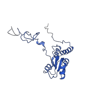 30433_7cpv_LQ_v1-2
Cryo-EM structure of 80S ribosome from mouse testis