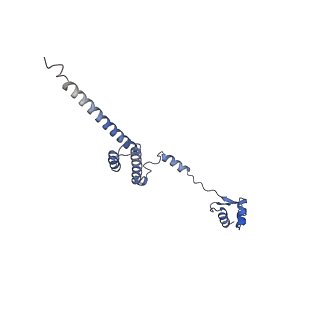 30433_7cpv_LR_v1-2
Cryo-EM structure of 80S ribosome from mouse testis