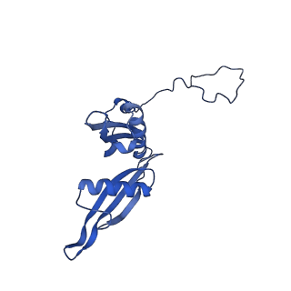 30433_7cpv_LS_v1-2
Cryo-EM structure of 80S ribosome from mouse testis