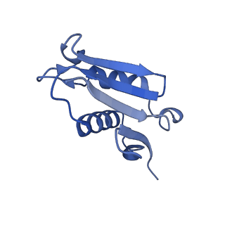 30433_7cpv_LU_v1-2
Cryo-EM structure of 80S ribosome from mouse testis