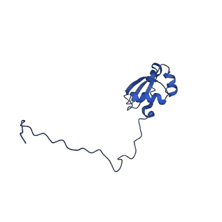 30433_7cpv_LX_v1-2
Cryo-EM structure of 80S ribosome from mouse testis