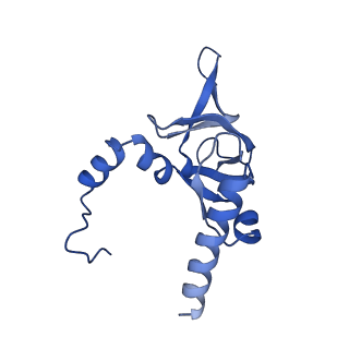 30433_7cpv_LY_v1-2
Cryo-EM structure of 80S ribosome from mouse testis