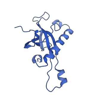 30433_7cpv_LZ_v1-2
Cryo-EM structure of 80S ribosome from mouse testis