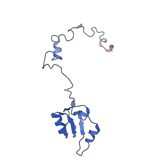 30433_7cpv_La_v1-2
Cryo-EM structure of 80S ribosome from mouse testis