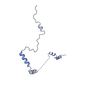 30433_7cpv_Lb_v1-2
Cryo-EM structure of 80S ribosome from mouse testis