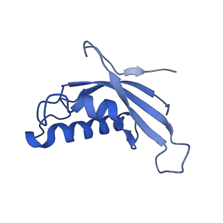 30433_7cpv_Ld_v1-2
Cryo-EM structure of 80S ribosome from mouse testis