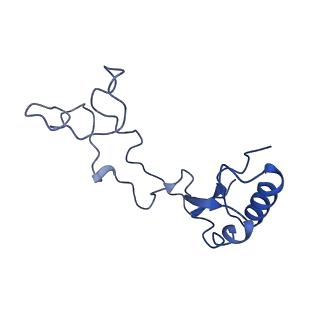 30433_7cpv_Le_v1-2
Cryo-EM structure of 80S ribosome from mouse testis