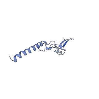 30433_7cpv_Lg_v1-2
Cryo-EM structure of 80S ribosome from mouse testis