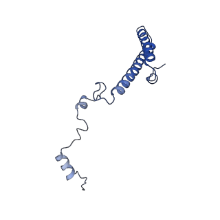30433_7cpv_Lh_v1-2
Cryo-EM structure of 80S ribosome from mouse testis