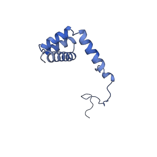 30433_7cpv_Li_v1-2
Cryo-EM structure of 80S ribosome from mouse testis