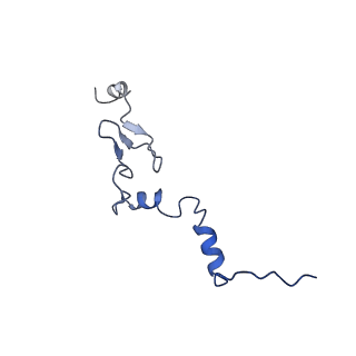 30433_7cpv_Lj_v1-2
Cryo-EM structure of 80S ribosome from mouse testis