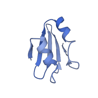 30433_7cpv_Lk_v1-2
Cryo-EM structure of 80S ribosome from mouse testis