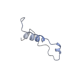 30433_7cpv_Ll_v1-2
Cryo-EM structure of 80S ribosome from mouse testis
