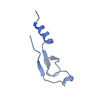 30433_7cpv_Lm_v1-2
Cryo-EM structure of 80S ribosome from mouse testis