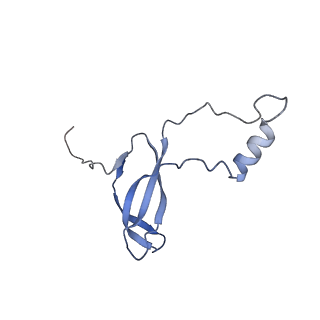 30433_7cpv_Lo_v1-2
Cryo-EM structure of 80S ribosome from mouse testis