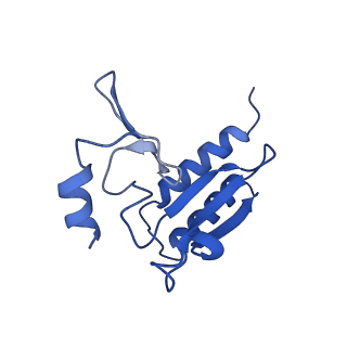 30433_7cpv_Lr_v1-2
Cryo-EM structure of 80S ribosome from mouse testis