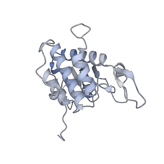 30433_7cpv_SA_v1-2
Cryo-EM structure of 80S ribosome from mouse testis
