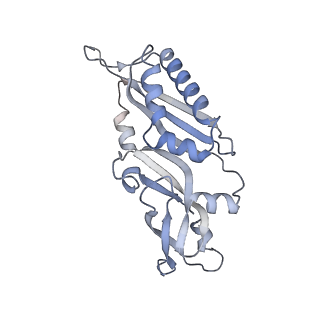 30433_7cpv_SB_v1-2
Cryo-EM structure of 80S ribosome from mouse testis
