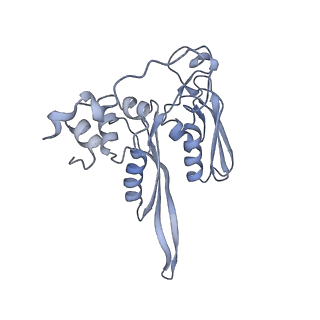 30433_7cpv_SC_v1-2
Cryo-EM structure of 80S ribosome from mouse testis