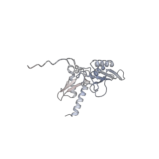30433_7cpv_SD_v1-2
Cryo-EM structure of 80S ribosome from mouse testis