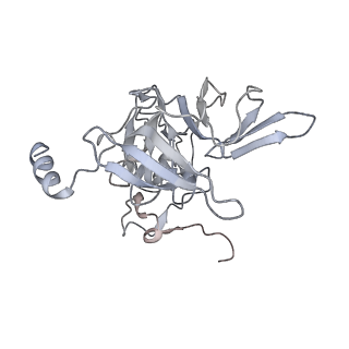 30433_7cpv_SE_v1-2
Cryo-EM structure of 80S ribosome from mouse testis