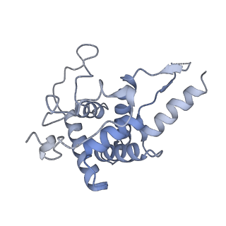 30433_7cpv_SF_v1-2
Cryo-EM structure of 80S ribosome from mouse testis