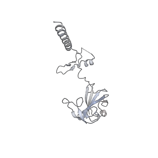 30433_7cpv_SG_v1-2
Cryo-EM structure of 80S ribosome from mouse testis
