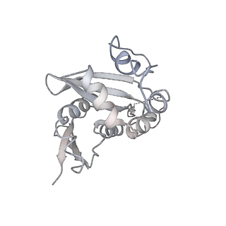 30433_7cpv_SH_v1-2
Cryo-EM structure of 80S ribosome from mouse testis