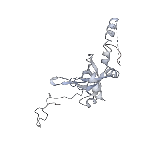 30433_7cpv_SI_v1-2
Cryo-EM structure of 80S ribosome from mouse testis