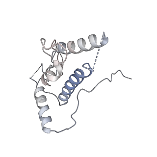 30433_7cpv_SJ_v1-2
Cryo-EM structure of 80S ribosome from mouse testis