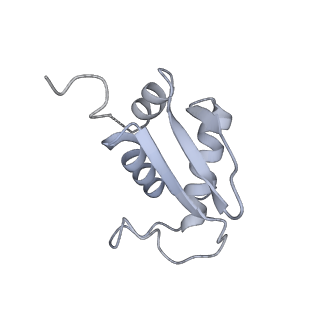 30433_7cpv_SK_v1-2
Cryo-EM structure of 80S ribosome from mouse testis