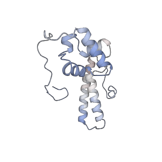 30433_7cpv_SN_v1-2
Cryo-EM structure of 80S ribosome from mouse testis