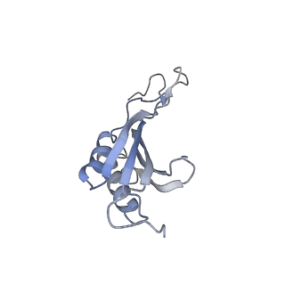 30433_7cpv_SO_v1-2
Cryo-EM structure of 80S ribosome from mouse testis