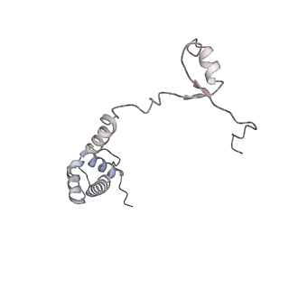 30433_7cpv_SR_v1-2
Cryo-EM structure of 80S ribosome from mouse testis