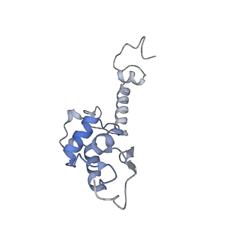 30433_7cpv_SS_v1-2
Cryo-EM structure of 80S ribosome from mouse testis
