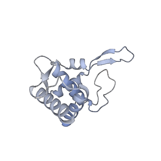 30433_7cpv_ST_v1-2
Cryo-EM structure of 80S ribosome from mouse testis