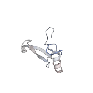 30433_7cpv_SV_v1-2
Cryo-EM structure of 80S ribosome from mouse testis
