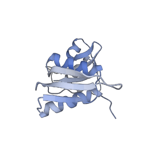 30433_7cpv_SW_v1-2
Cryo-EM structure of 80S ribosome from mouse testis